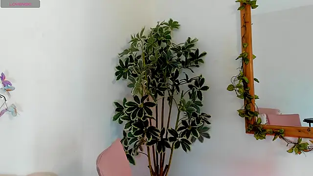 Snapshot of valerieMattson chatting on October 15, 2025, 4:15 pm valerieMattson online show from October 15, 2025, 4:15 pm
