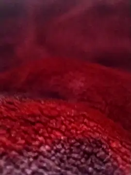 saneer69tew online show from February 26, 2026, 6:13 am