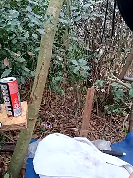 Snapshot of Wilsonn86 chatting on December 2, 2025, 9:22 am Wilsonn86 online show from December 2, 2025, 9:22 am