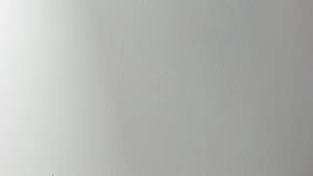 Lady miss    online show from November 6, 2025, 12:20 pm