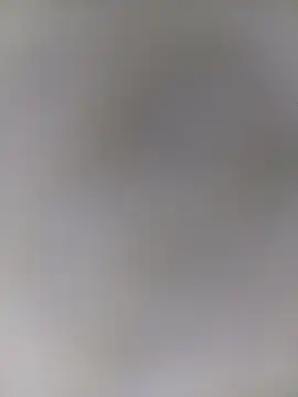 Trisha 71 online show from December 21, 2025, 4:47 am