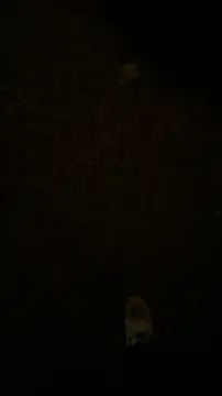 Snapshot of Raegis chatting on November 19, 2025, 3:06 am Raegis online show from November 19, 2025, 3:06 am