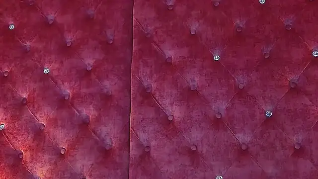 MaddisonBelucci online show from November 20, 2025, 9:04 pm