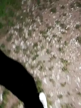 ARTANIS20 online show from October 21, 2025, 8:19 pm