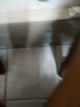 Snapshot of Teeteemyg chatting on February 5, 2026, 7:21 pm Teeteemyg online show from February 5, 2026, 7:21 pm