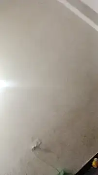 Snapshot of Guriya0076 chatting on November 23, 2025, 11:09 am Guriya0076 online show from November 23, 2025, 11:09 am