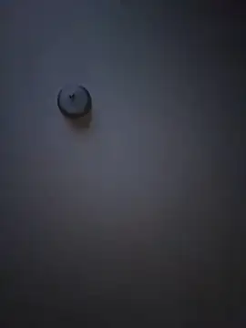 curis4270panda online show from February 16, 2026, 8:02 am