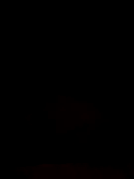 SexyLeon8 online show from September 12, 2025, 12:33 am