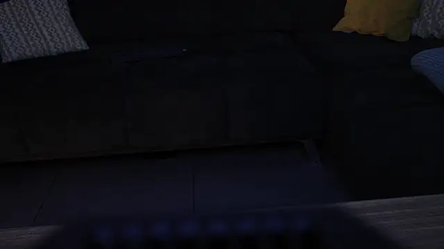 GermanBiHardcore online show from November 29, 2025, 8:42 pm