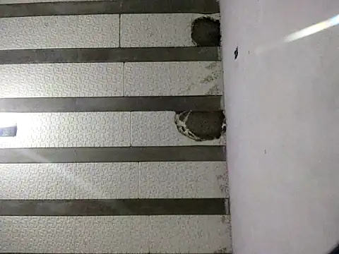 Rafaschuler online show from December 16, 2025, 10:47 pm