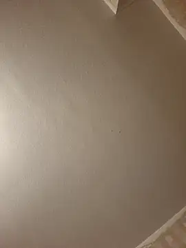 gazb90 online show from April 9, 2026, 8:15 pm