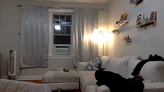 robin bones online show from November 15, 2025, 11:53 pm