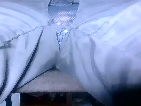 Cock4LadiesONLY online show from September 17, 2025, 2:41 pm