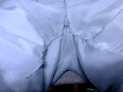 Cock4LadiesONLY online show from September 10, 2025, 12:59 pm