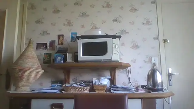 gegevincent online show from April 15, 2026, 11:27 am