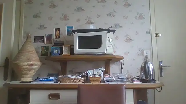 gegevincent online show from February 20, 2026, 1:35 pm