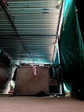 Shiya janu online show from February 3, 2026, 6:40 am