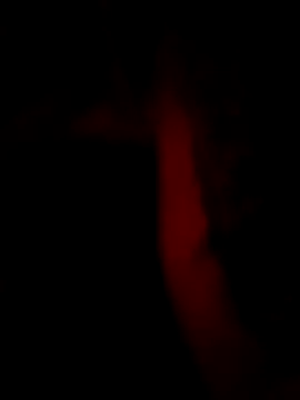 Snapshot of Raza7524 chatting on November 15, 2025, 4:55 pm Raza7524 online show from November 15, 2025, 4:55 pm