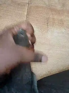 Snapshot of Saikishore00000 chatting on September 15, 2025, 8:26 am Saikishore00000 online show from September 15, 2025, 8:26 am