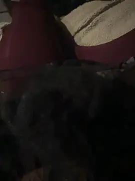 nenad062 online show from December 17, 2025, 7:02 am