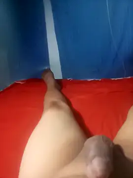 Snapshot of cora08 chatting on November 3, 2025, 9:29 pm cora08 online show from November 3, 2025, 9:29 pm