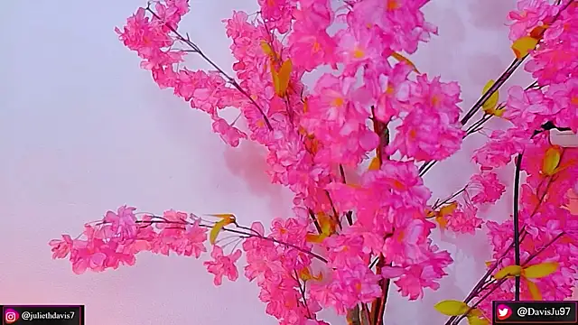Snapshot of JulietaDavis chatting on May 14, 2026, 2:08 am JulietaDavis online show from May 14, 2026, 2:08 am