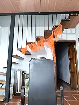 Hiroshi Shen online show from November 5, 2025, 11:24 am