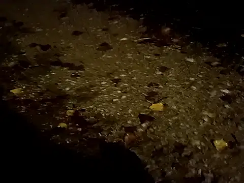 jvdzj-0  online show from October 29, 2025, 10:42 pm