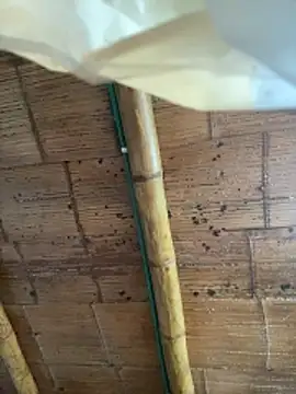 Snapshot of juliie_star chatting on October 16, 2025, 12:24 pm juliie star online show from October 16, 2025, 12:24 pm