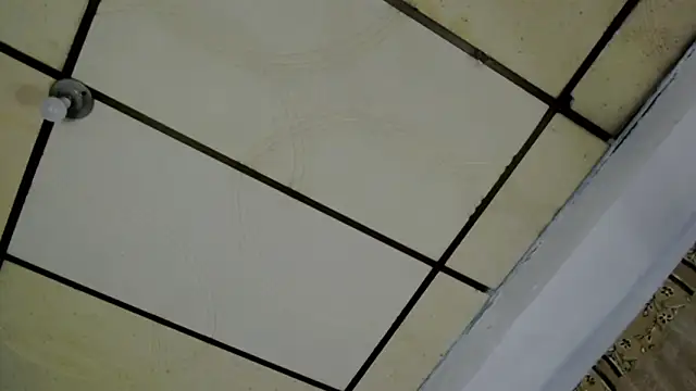 AlaskaFlowers  online show from September 12, 2025, 5:51 am