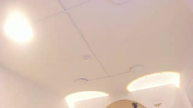 Snapshot of TokyoHaskel chatting on October 8, 2025, 4:03 am TokyoHaskel online show from October 8, 2025, 4:03 am