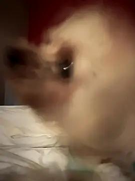 Ofcourseoneday online show from October 16, 2025, 7:00 pm