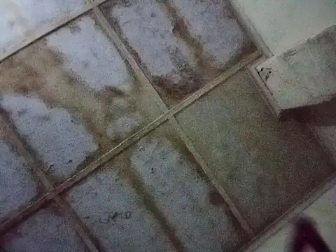 RFeltomWhitJ online show from November 17, 2025, 1:09 am