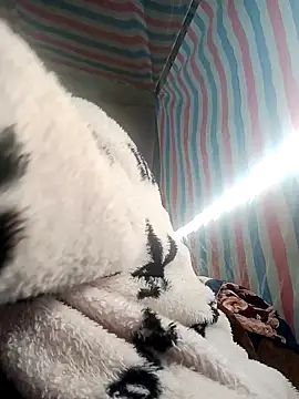 Snapshot of jienrrr chatting on November 26, 2025, 1:49 am jienrrr online show from November 26, 2025, 1:49 am