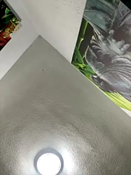 aavrdvh33 online show from November 27, 2025, 7:14 pm