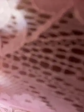 Luna 20x online show from March 31, 2026, 6:43 pm