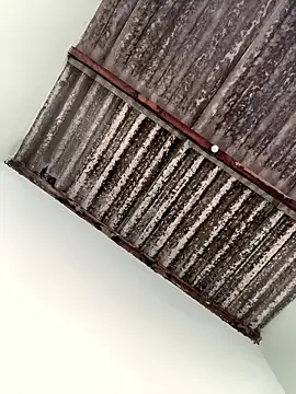 morenaluaa online show from January 17, 2026, 10:19 am