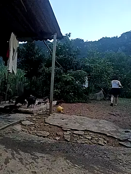 Snapshot of SexyQueen99 chatting on October 6, 2025, 10:43 pm SexyQueen99 online show from October 6, 2025, 10:43 pm