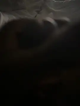 blablablackbi online show from October 4, 2025, 11:50 pm