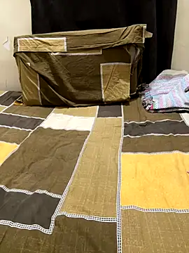 hoegupta online show from November 4, 2025, 8:01 pm