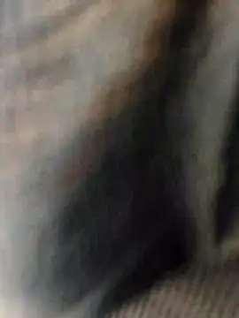 meomeocute online show from November 13, 2025, 5:55 am