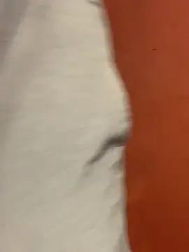 jabulani2600 online show from February 22, 2026, 6:16 am