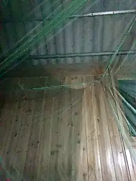 Mptrangp online show from April 15, 2026, 7:58 pm