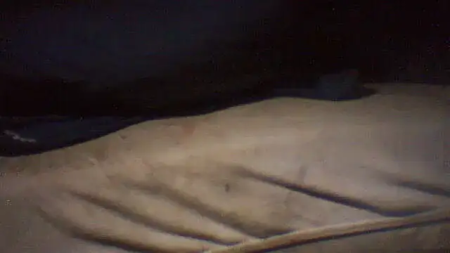 pietje1991 online show from May 15, 2026, 5:11 pm
