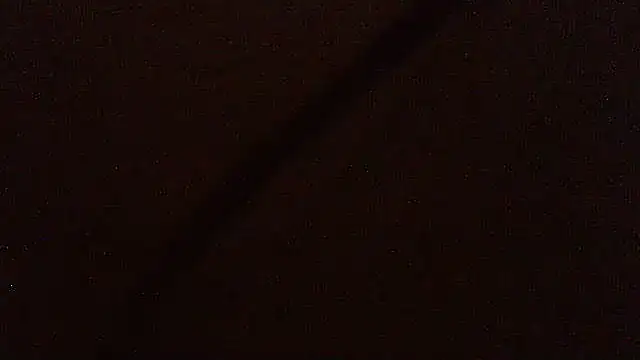 pietje1991 online show from April 15, 2026, 12:05 am