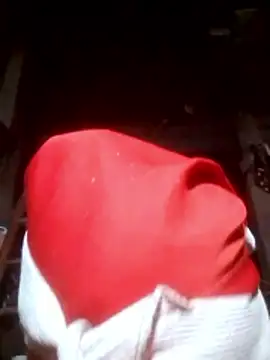 Snapshot of VangLe73 chatting on November 10, 2025, 11:59 am VangLe73 online show from November 10, 2025, 11:59 am