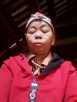 Snapshot of VangLe73 chatting on December 2, 2025, 4:47 am VangLe73 online show from December 2, 2025, 4:47 am