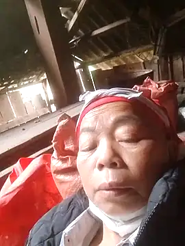 Snapshot of VangLe73 chatting on November 5, 2025, 2:47 am VangLe73 online show from November 5, 2025, 2:47 am