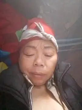 Snapshot of VangLe73 chatting on November 3, 2025, 2:17 am VangLe73 online show from November 3, 2025, 2:17 am