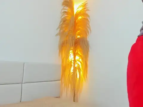 Snapshot of Kieran_kian chatting on February 14, 2026, 12:33 am Kieran kian online show from February 14, 2026, 12:33 am